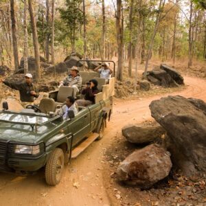 luxury tiger safaris